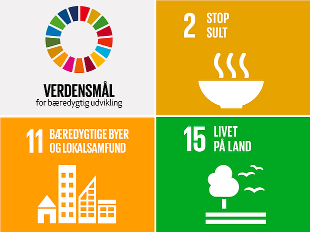 Verdensmål